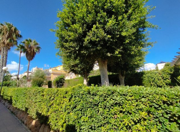 Revente - Maison mitoyenne - Torrevieja - Los Balcones