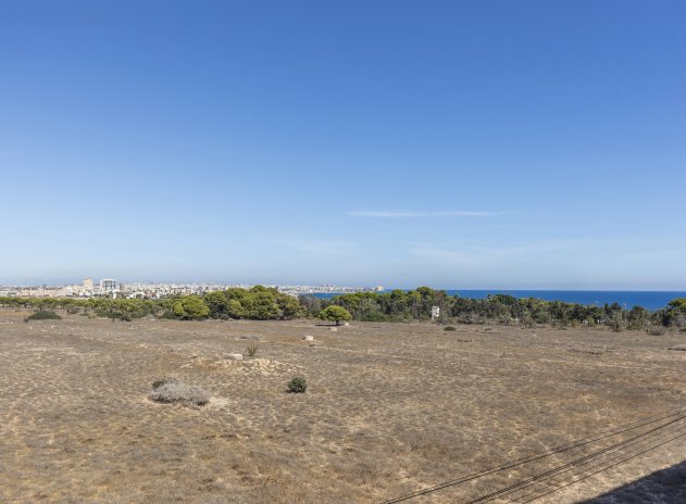 Wiederverkauf - Wohnung - Torrevieja - Rocio del Mar