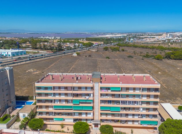 Wiederverkauf - Wohnung - Torrevieja - Rocio del Mar