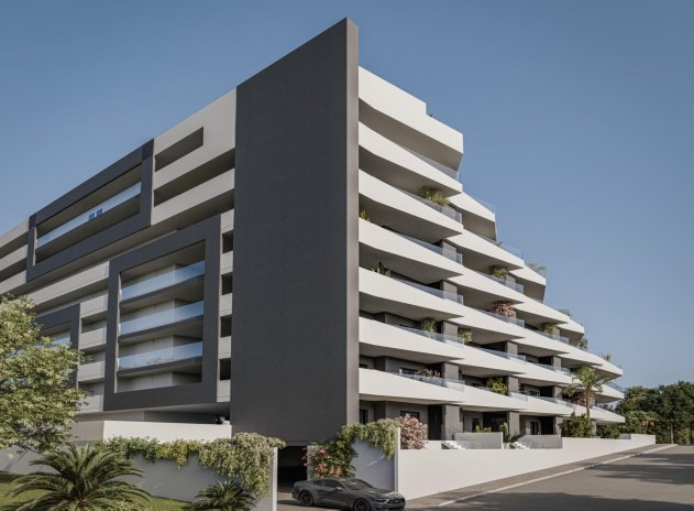 Neue Gebäude - Wohnung - San Miguel de Salinas
