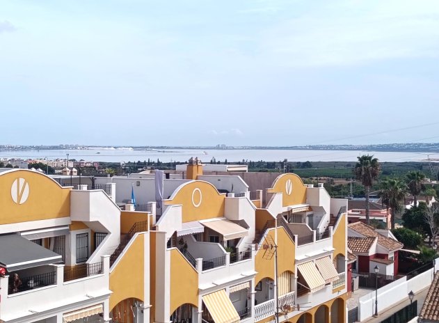 Resale - Apartment / Flat * - Los Montesinos * - Urbanizacion montesol