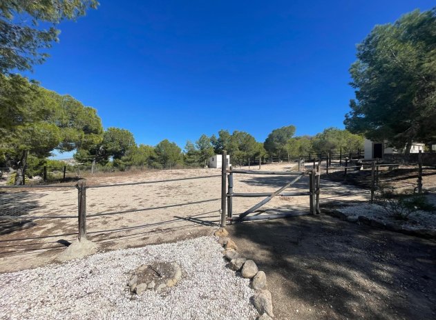 Herverkoop - Villa - Orihuela - Torremendo