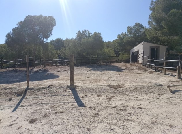 Herverkoop - Villa - Orihuela - Torremendo