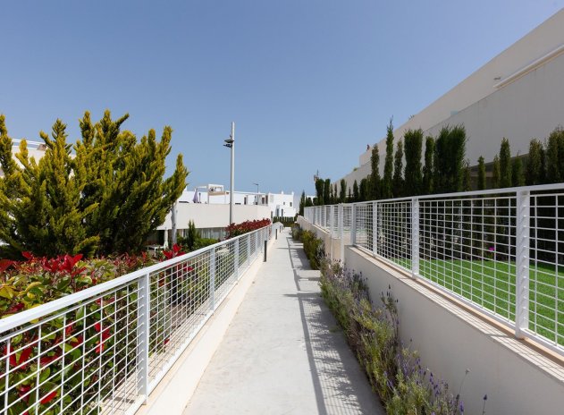 Wiederverkauf - Wohnung - Torrevieja - Los Balcones