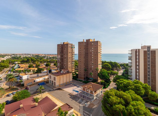 Reventa - Apartamento / Piso - Orihuela Costa - Campoamor