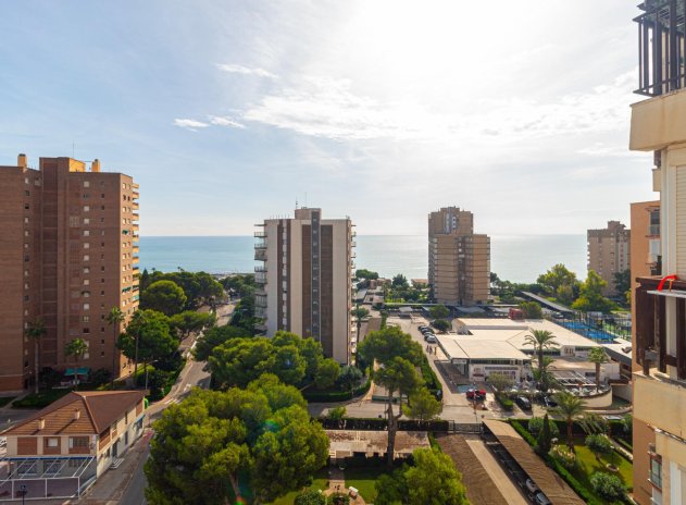 Reventa - Apartamento / Piso - Orihuela Costa - Campoamor
