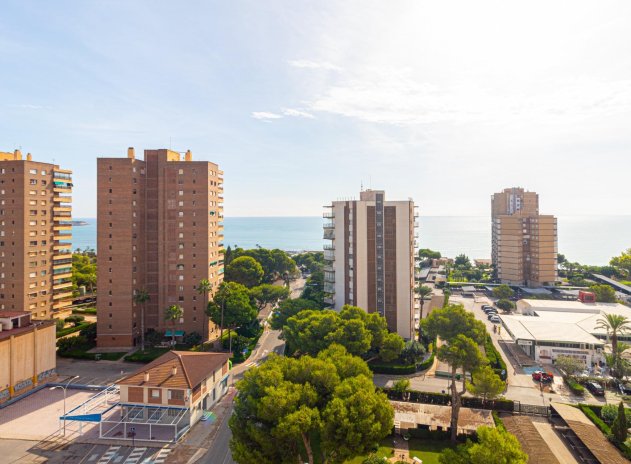 Reventa - Apartamento / Piso - Orihuela Costa - Campoamor