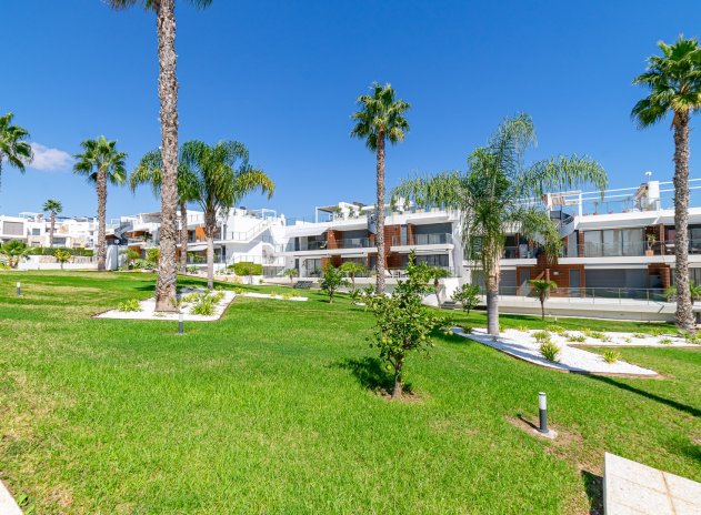 Revente - Appartement - Punta Prima