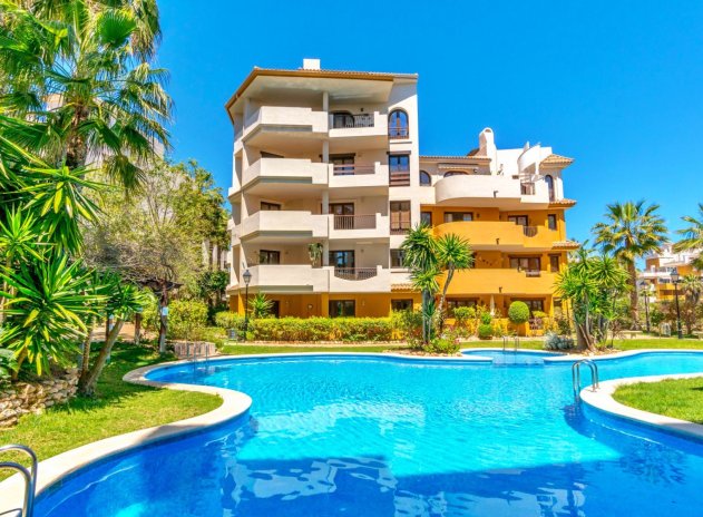 Reventa - Apartamento / Piso - Punta Prima
