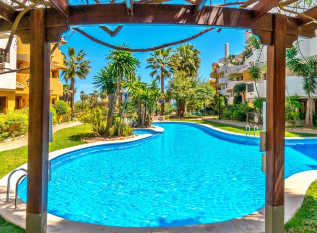 Reventa - Apartamento / Piso - Punta Prima