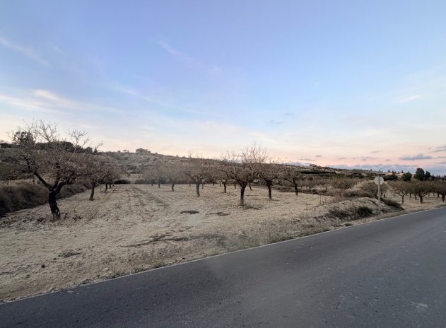 Herverkoop - Perceel - Torremendo - Costa Blanca