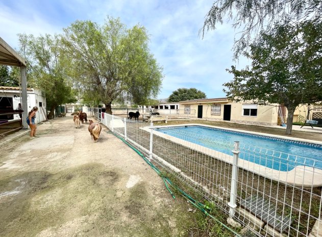 Revente - Finca / Maison Rurale - Orihuela
