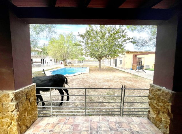 Revente - Finca / Maison Rurale - Orihuela