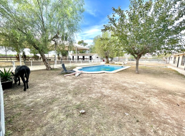 Revente - Finca / Maison Rurale - Orihuela