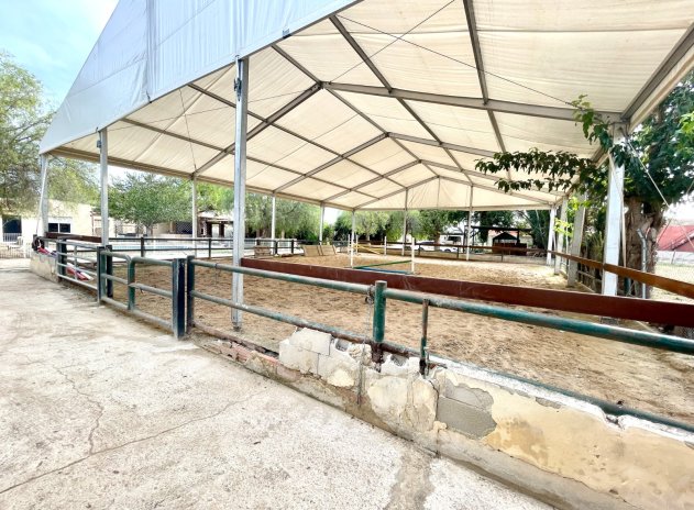 Revente - Finca / Maison Rurale - Orihuela