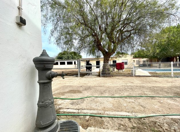 Revente - Finca / Maison Rurale - Orihuela