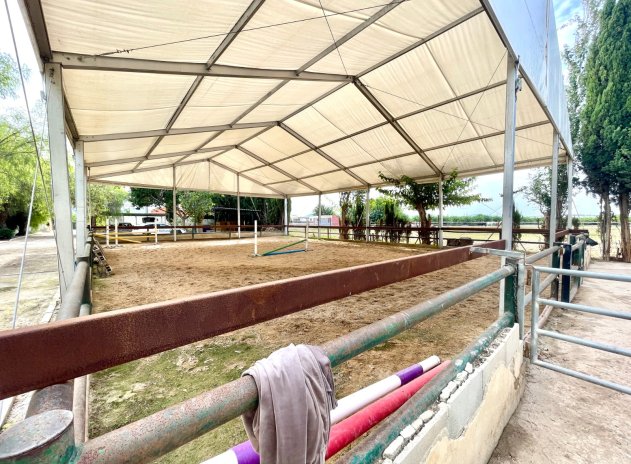 Revente - Finca / Maison Rurale - Orihuela