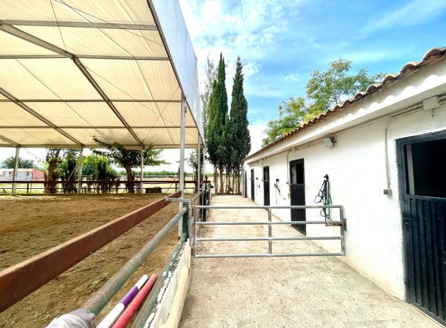 Revente - Finca / Maison Rurale - Orihuela