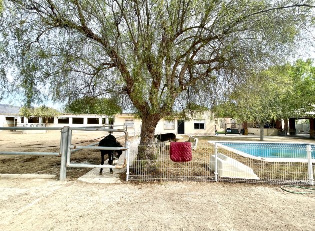 Revente - Finca / Maison Rurale - Orihuela