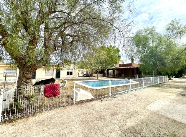 Revente - Finca / Maison Rurale - Orihuela