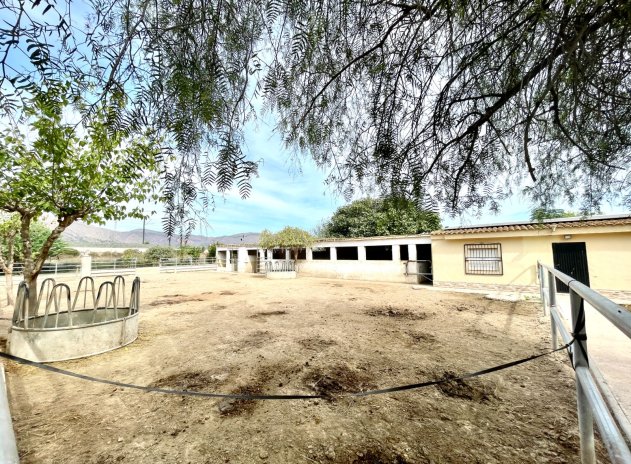 Revente - Finca / Maison Rurale - Orihuela