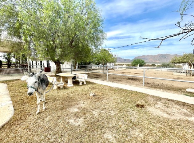 Revente - Finca / Maison Rurale - Orihuela