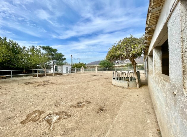 Revente - Finca / Maison Rurale - Orihuela