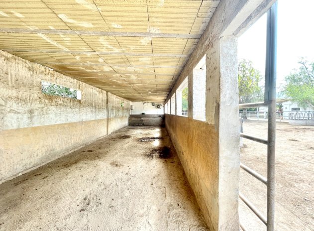 Revente - Finca / Maison Rurale - Orihuela