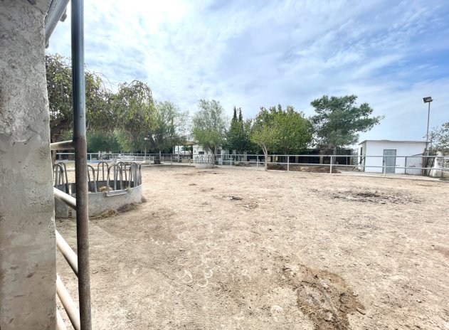 Revente - Finca / Maison Rurale - Orihuela