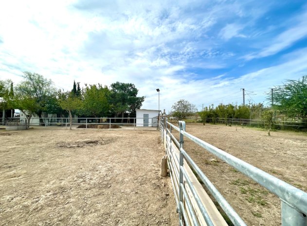 Revente - Finca / Maison Rurale - Orihuela