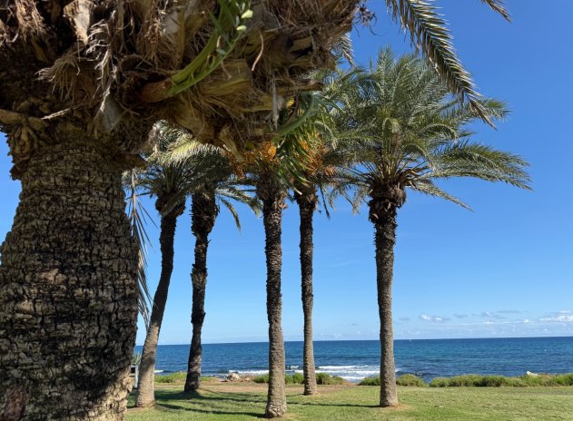 Revente - Appartement - Torrevieja - La Veleta