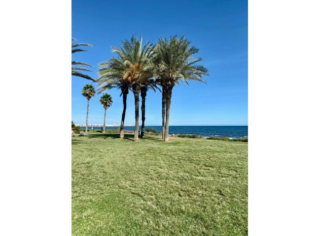 Revente - Appartement - Torrevieja - La Veleta