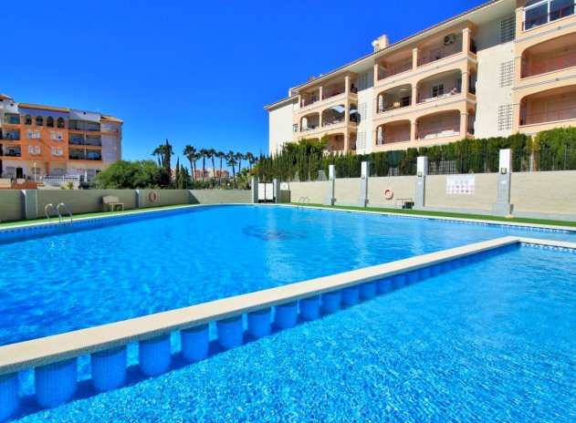 Herverkoop - Appartement - Playa Flamenca