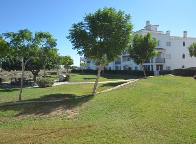 Wiederverkauf - Wohnung - Hacienda Riquelme Golf Resort - Hacienda Riquelme Golf