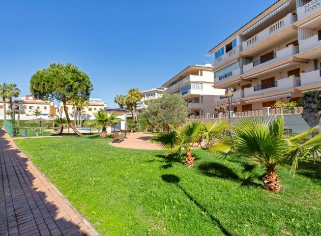 Wiederverkauf - Wohnung - Torrevieja - La Mata