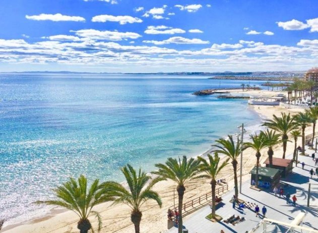 Obra nueva - Bungalow - Torrevieja - Lago Jardin