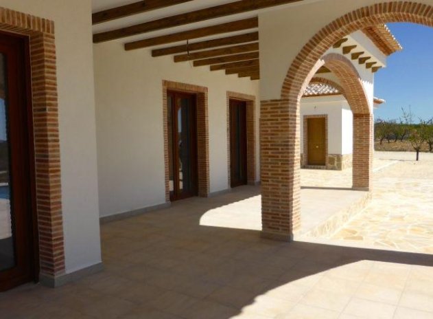 Nouvelle construction - Villa - Pinoso - Center