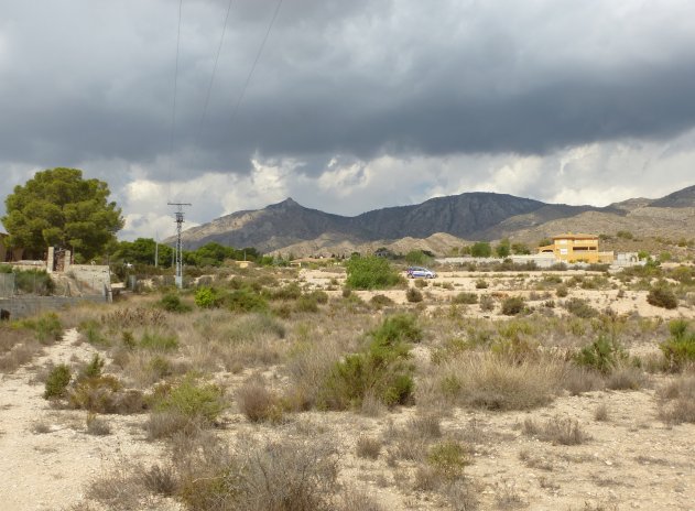 Wiederverkauf - Plot - Crevillente - Crevillente - Country