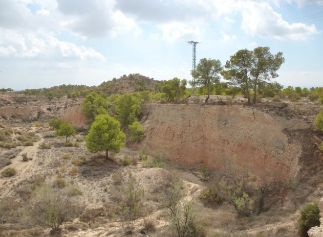 Wiederverkauf - Plot - Crevillente - Crevillente - Country