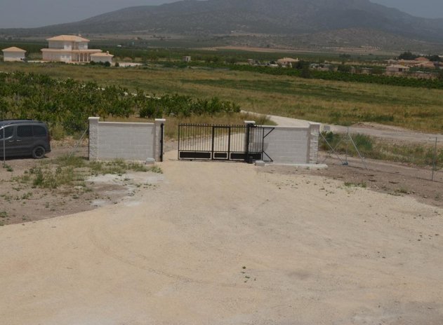 Obra nueva - Villa - Pinoso - Camino Del Prado