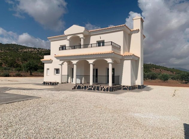 New Build - Villa - Pinoso - Camino Del Prado