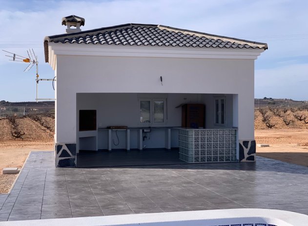 Nouvelle construction - Villa - Pinoso - Camino Del Prado