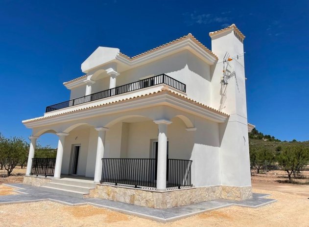 Obra nueva - Villa - Pinoso - Camino Del Prado