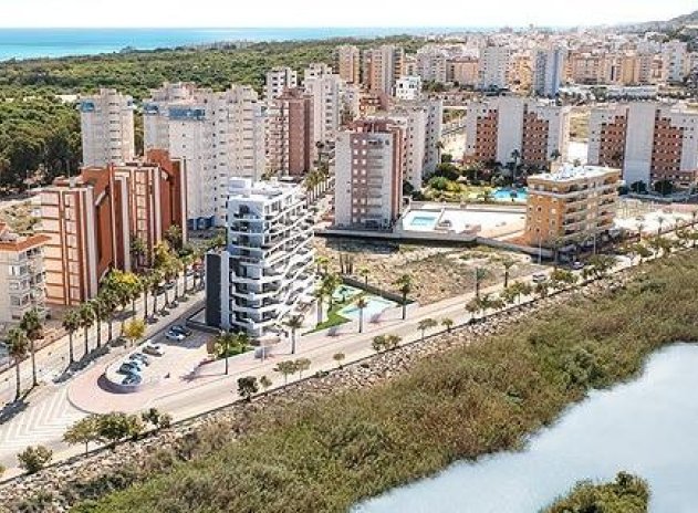 Obra nueva - Ático - Guardamar del Segura - Puerto