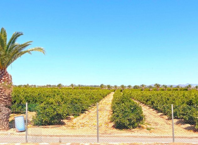 Wiederverkauf - Wohnung - Torrevieja - Los Balcones