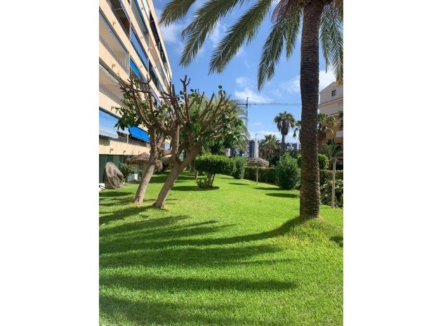 Resale - Apartment / flat - Orihuela Costa - Punta Prima