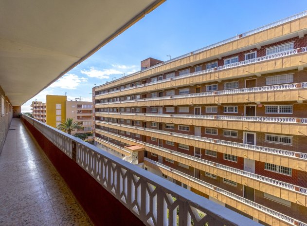 Revente - Appartement - Torrevieja - Punta Prima