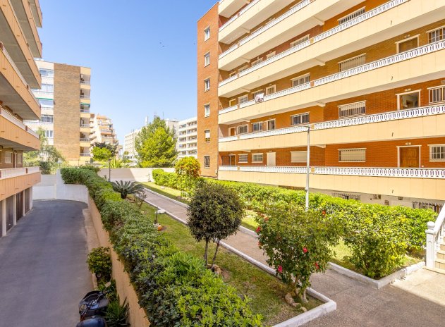 Revente - Appartement - Torrevieja - Punta Prima