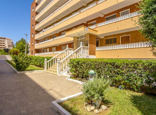 Revente - Appartement - Torrevieja - Punta Prima