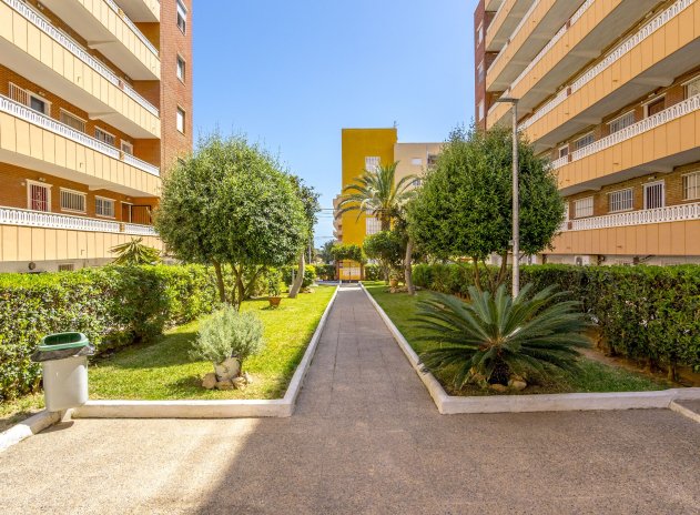 Revente - Appartement - Torrevieja - Punta Prima